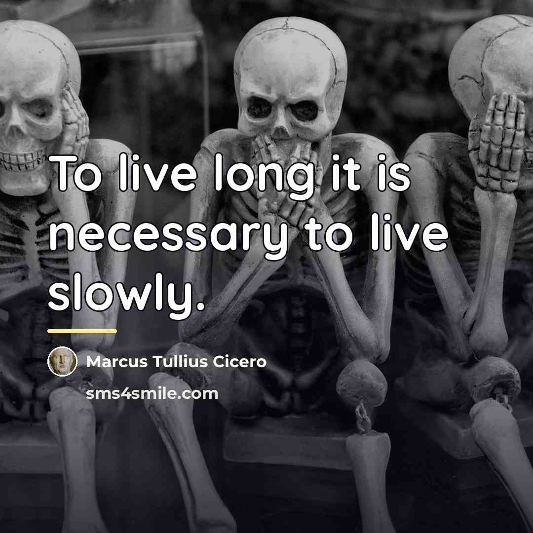 “To live long it is necessary to live slowly.…” quote by Marcus Tullius Cicero