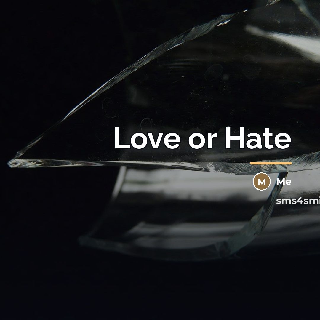 “Love or Hate…” quote by Me