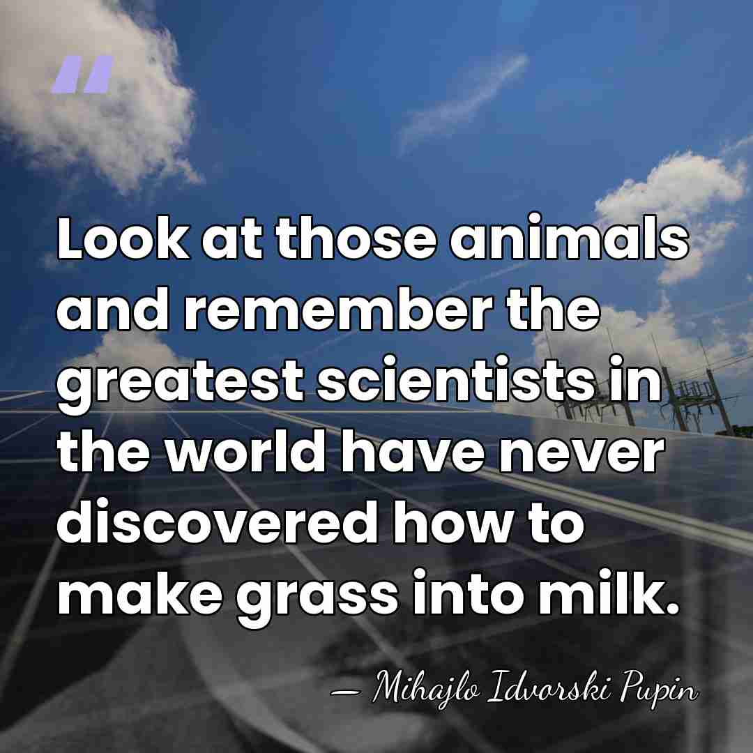 Look at those animals and remember the greatest scientists in the world&hellip; - Mihajlo Idvorski Pupin