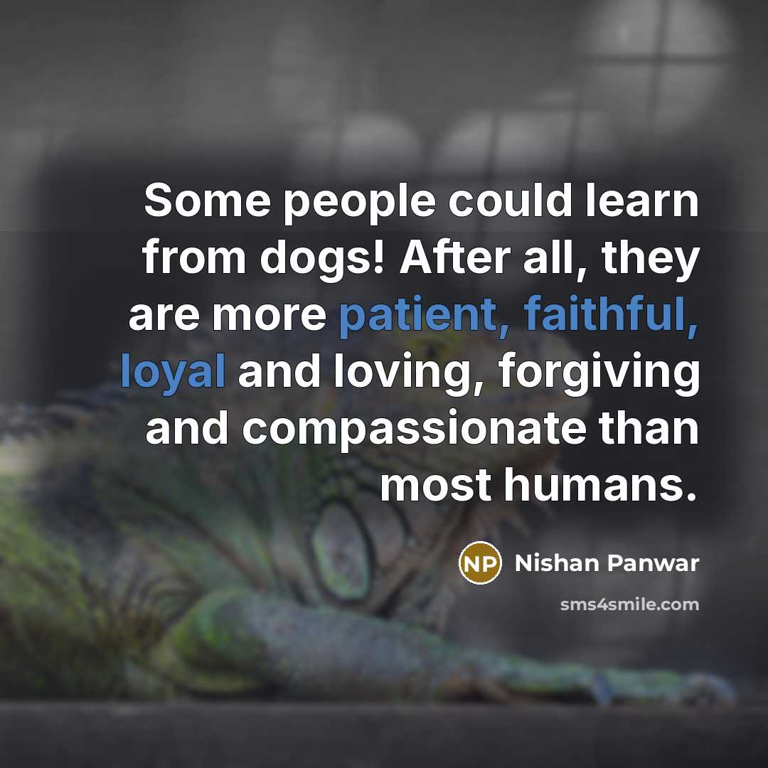 “Some people could learn from dogs! After all, they are more patient, faithful, loyal and loving, forgiving and compassionate than most humans.” quote by Nishan Panwar
