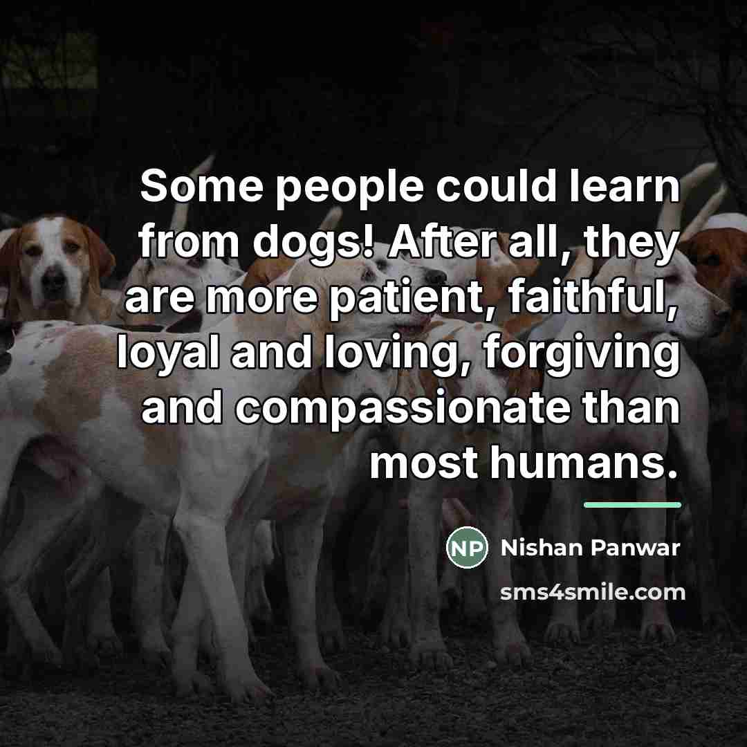 “Some people could learn from dogs! After all, they are…” quote by Nishan Panwar