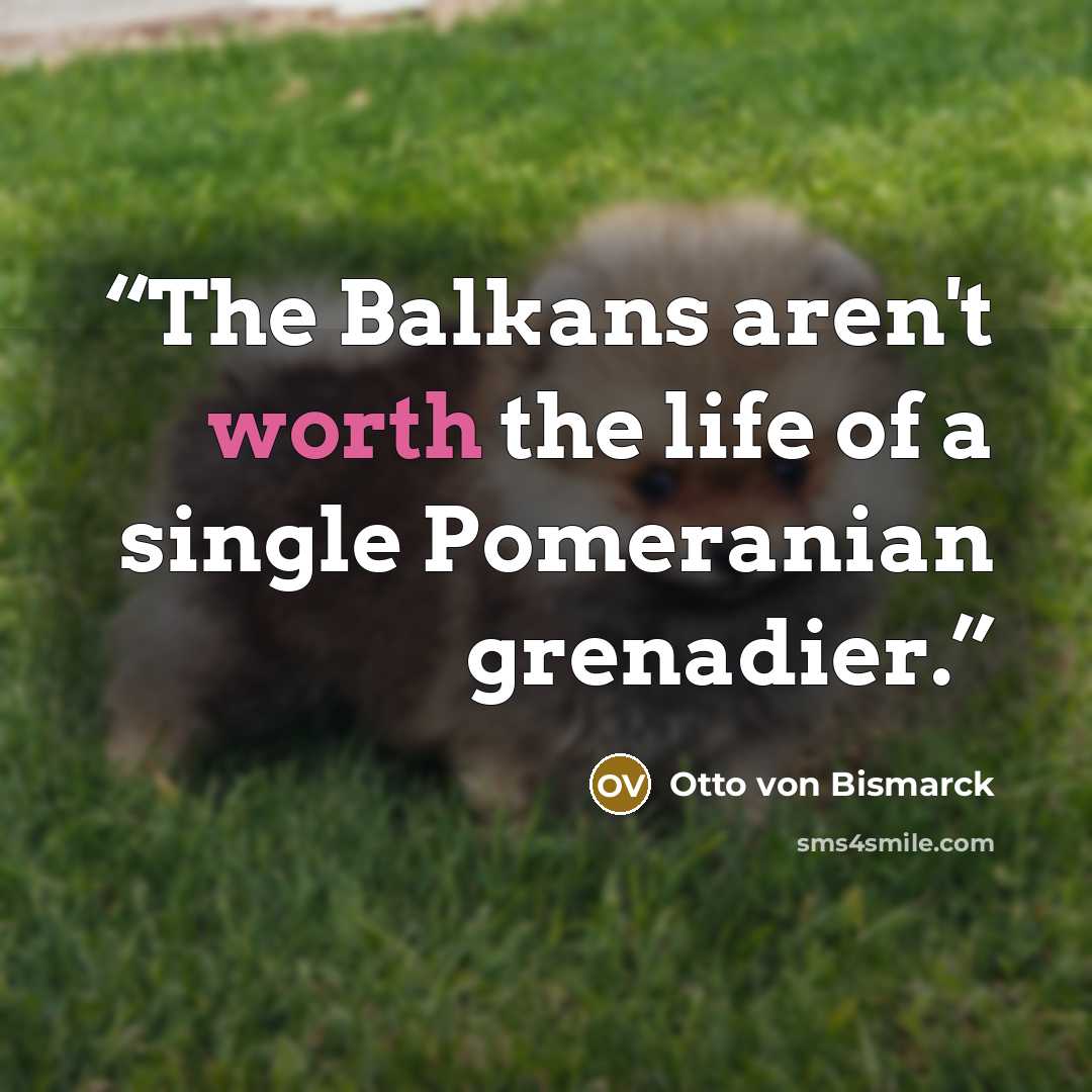 “The Balkans aren't worth the life of a single Pomeranian grenadier.” quote by Otto von Bismarck