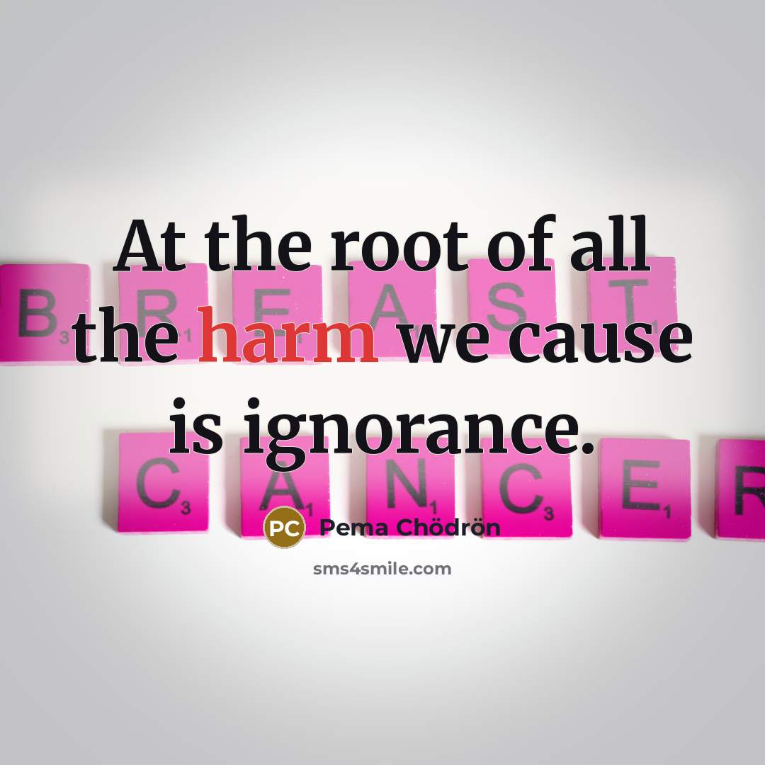 “At the root of all the harm we cause is…” quote by Pema Chodron