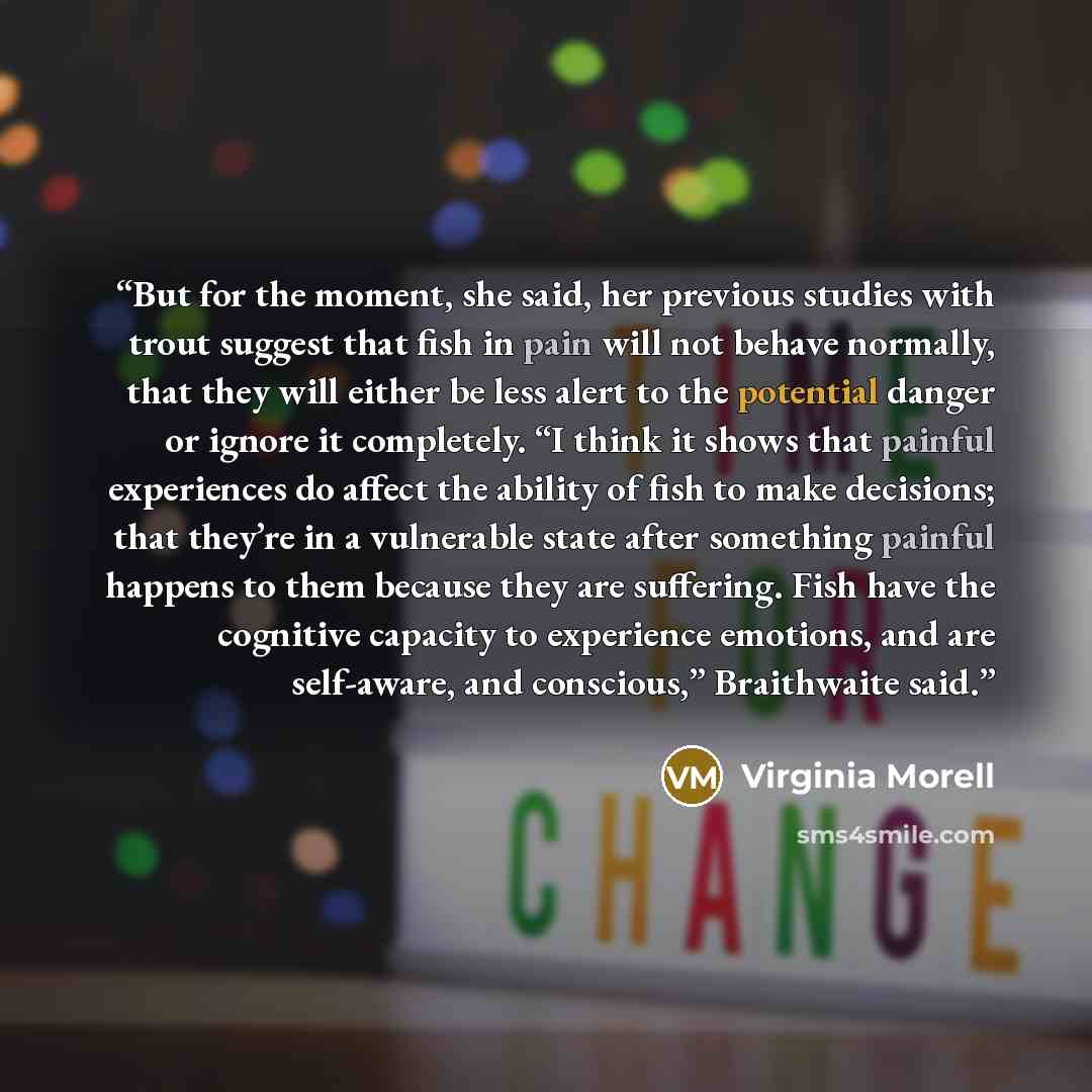 “But for the moment, she said, her previous studies with trout suggest that fish in pain will not behave normally, that they will either be less alert to the potential danger or ignore it completely. “I think it shows that painful experiences do affect the ability of fish to make decisions; that…” quote by Virginia Morell