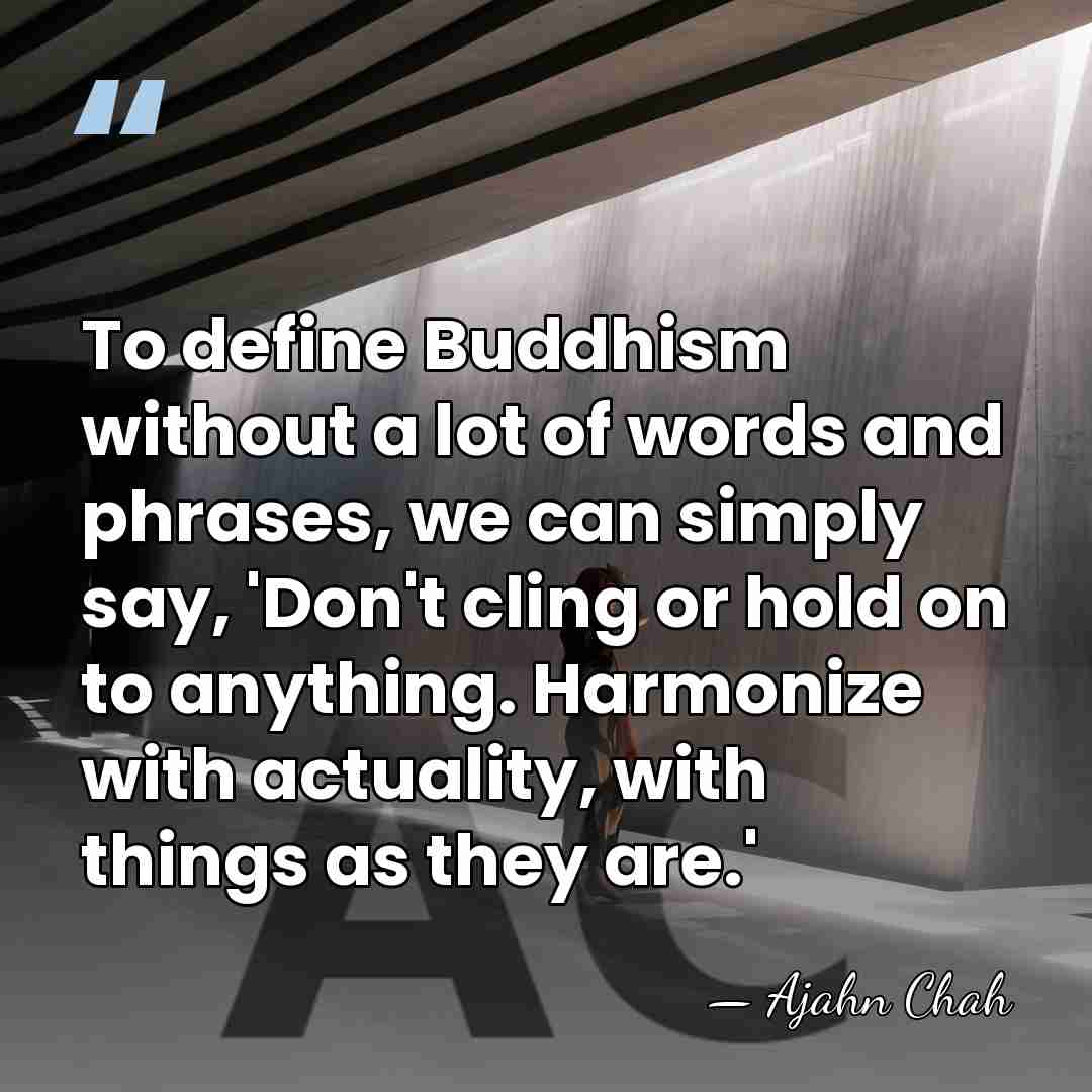 To define Buddhism without a lot of words and phrases, we can&hellip; - Ajahn Chah
