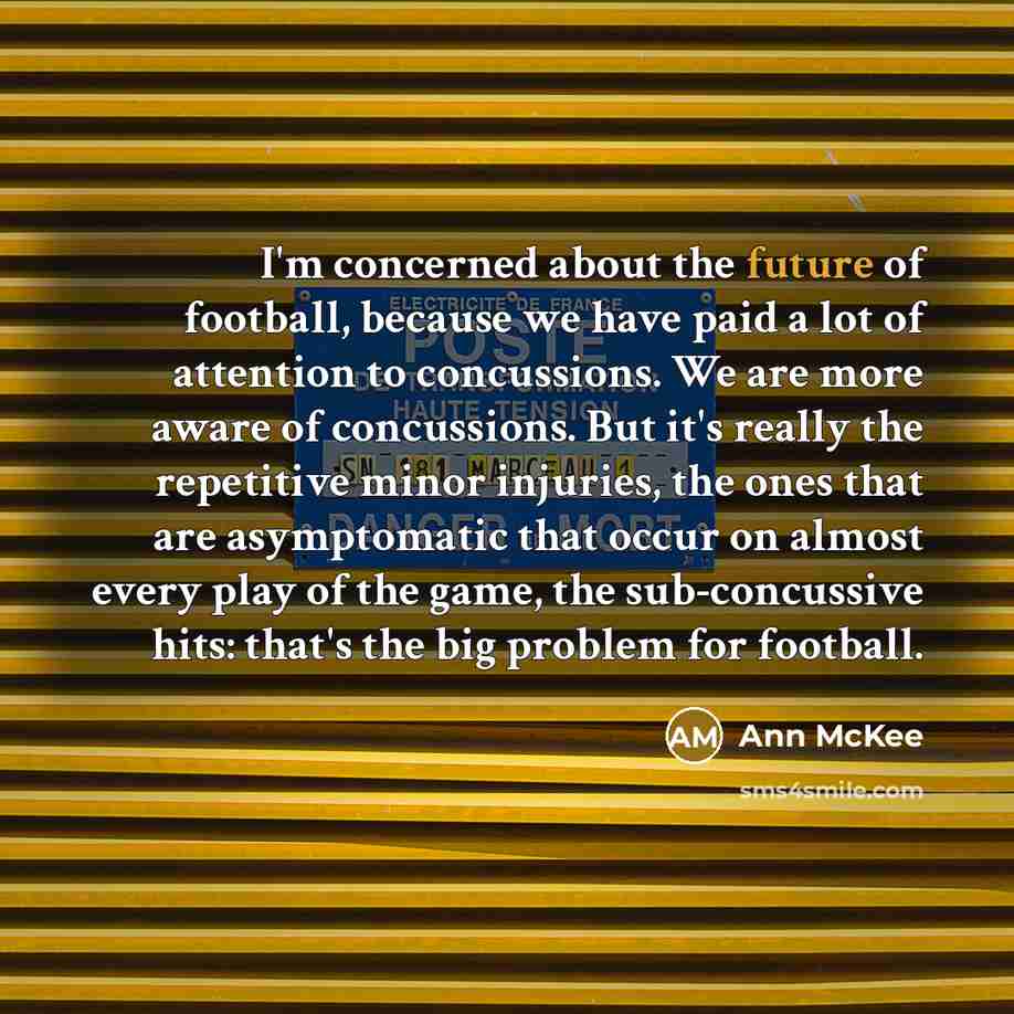 “I'm concerned about the future of football, because we have…” quote by Ann McKee