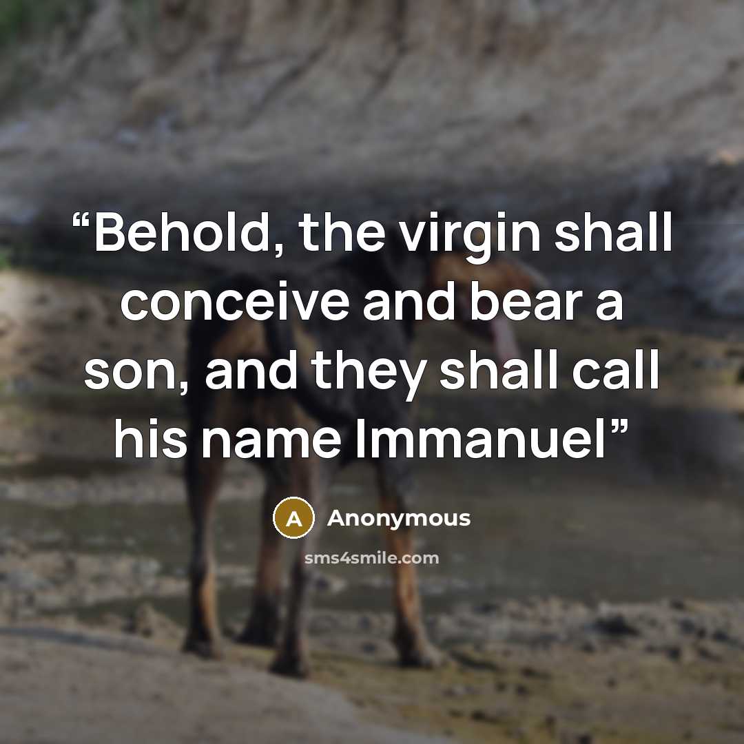 “Behold, the virgin shall conceive and bear a son, and they shall call his name Immanuel” quote by Anonymous