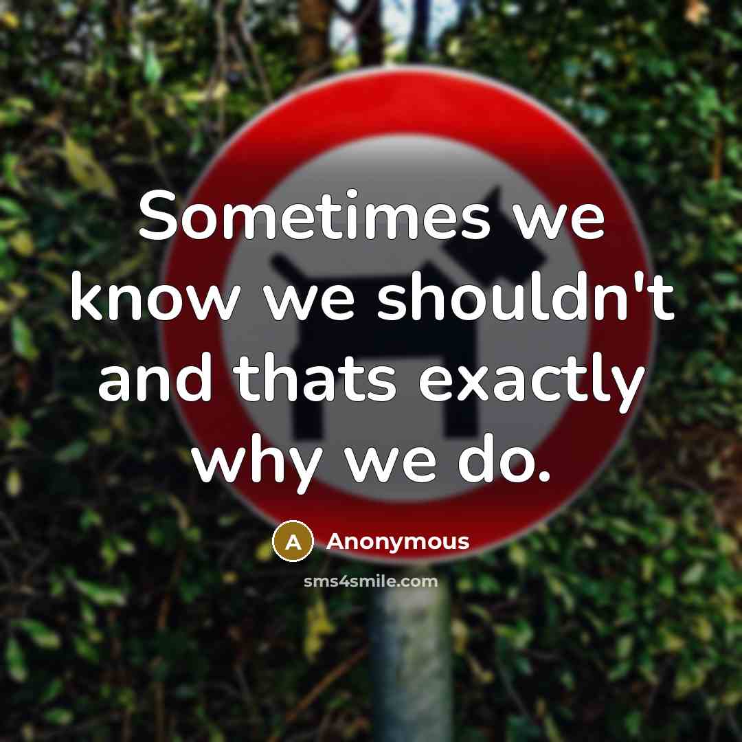 “Sometimes we know we shouldn't and thats exactly why we do.” quote by Anonymous