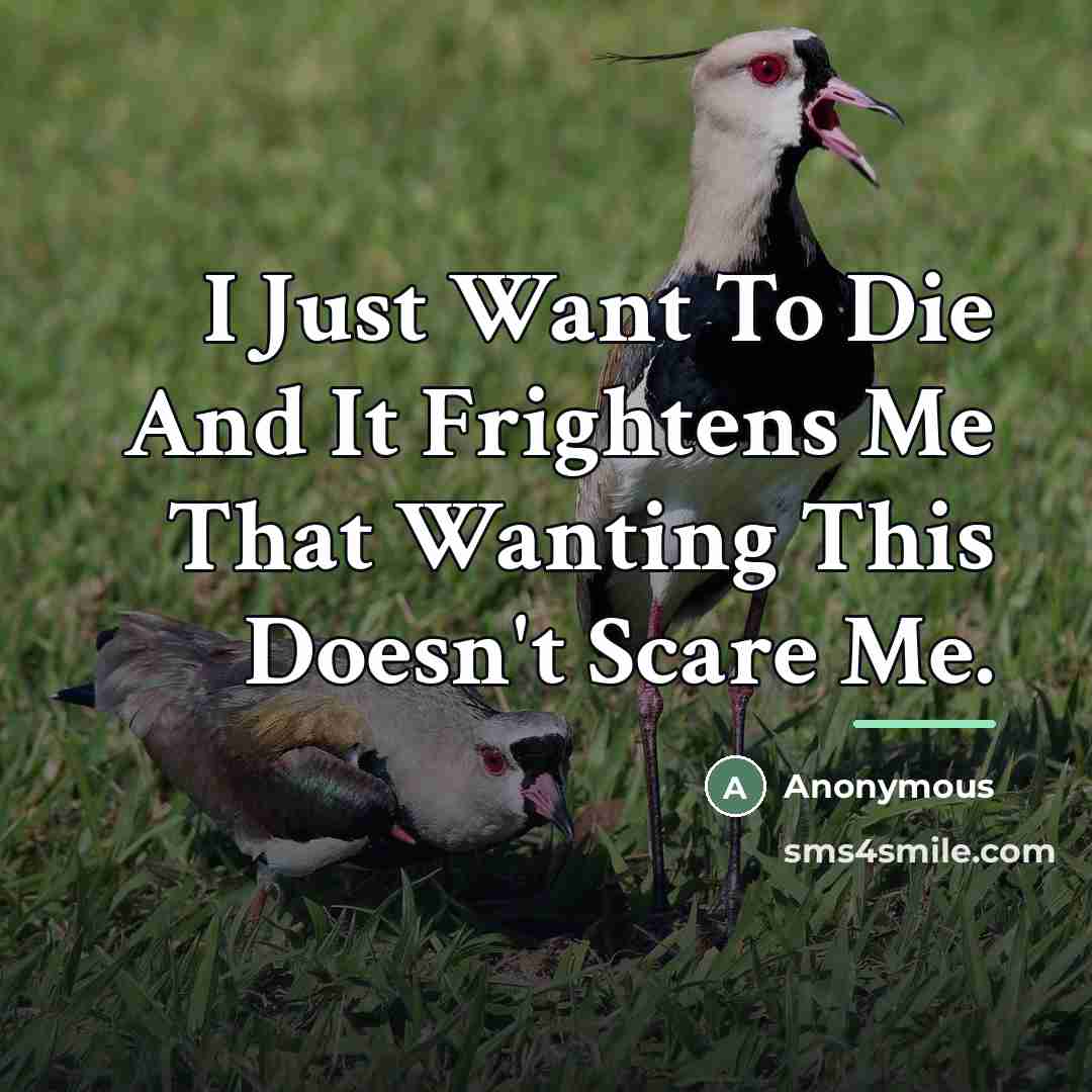 “I Just Want To Die And It Frightens Me That…” quote by Anonymous