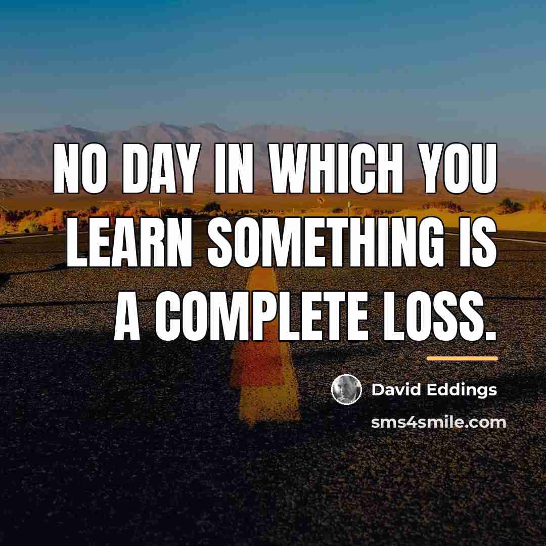 “No day in which you learn something is a complete…” quote by David Eddings