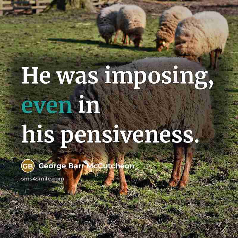 “He was imposing, even in his pensiveness.…” quote by George Barr McCutcheon