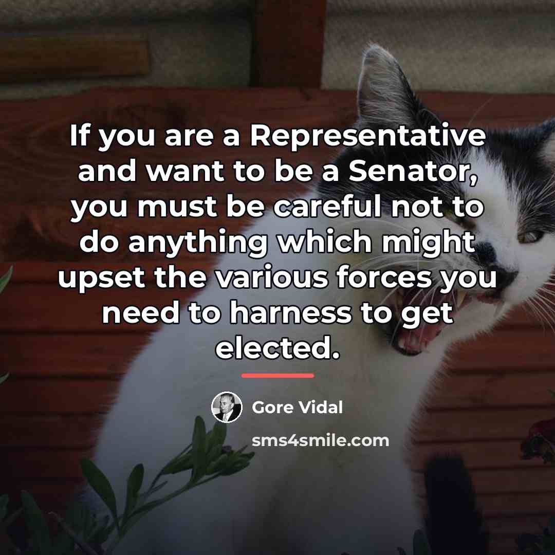 “If you are a Representative and want to be a…” quote by Gore Vidal