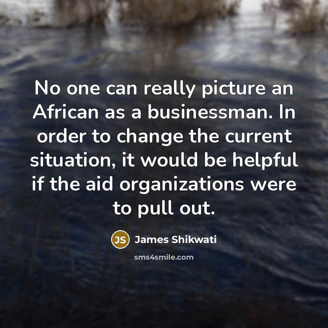“No one can really picture an African as a businessman.…” quote by James Shikwati