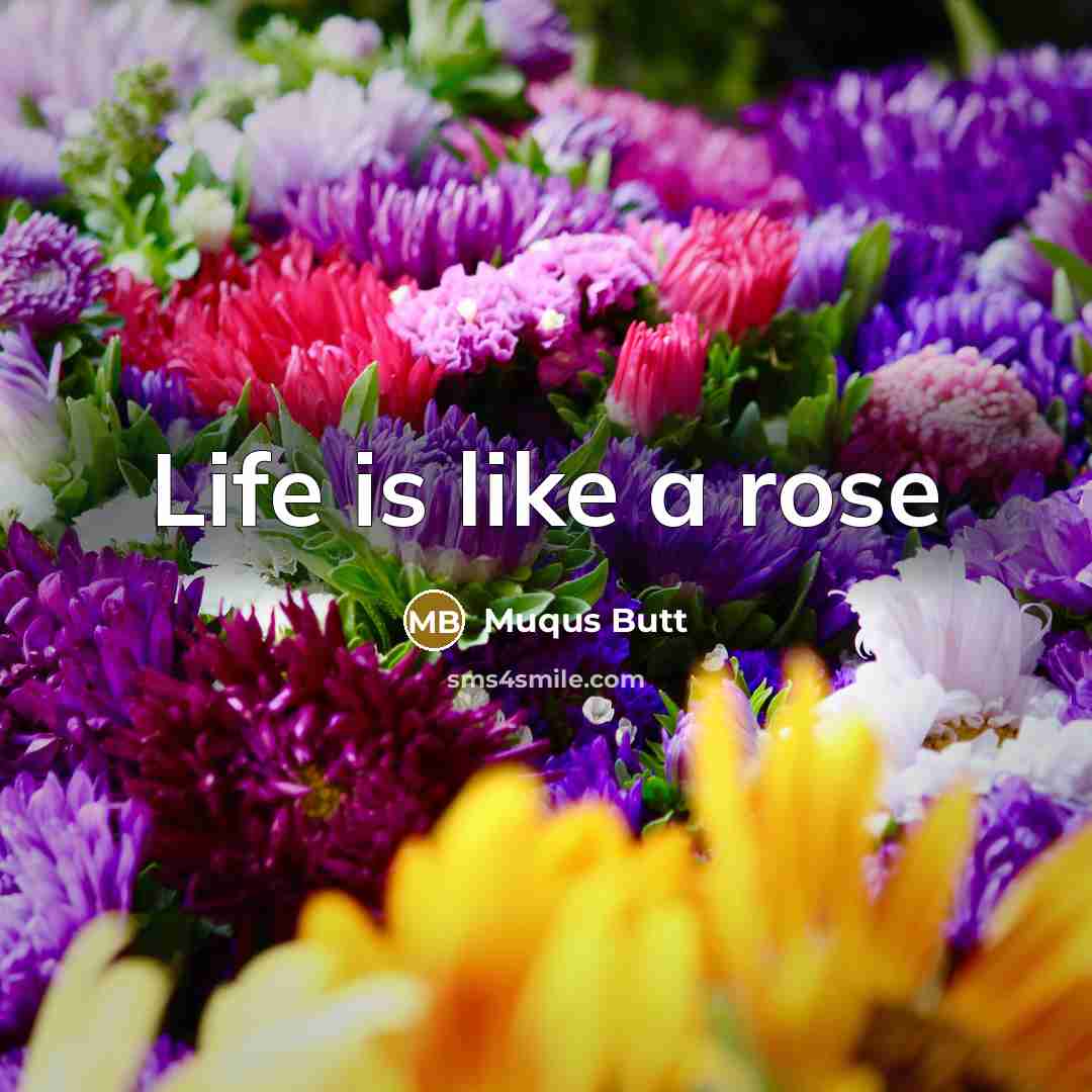 “Life is like a rose” quote by Muqus Butt