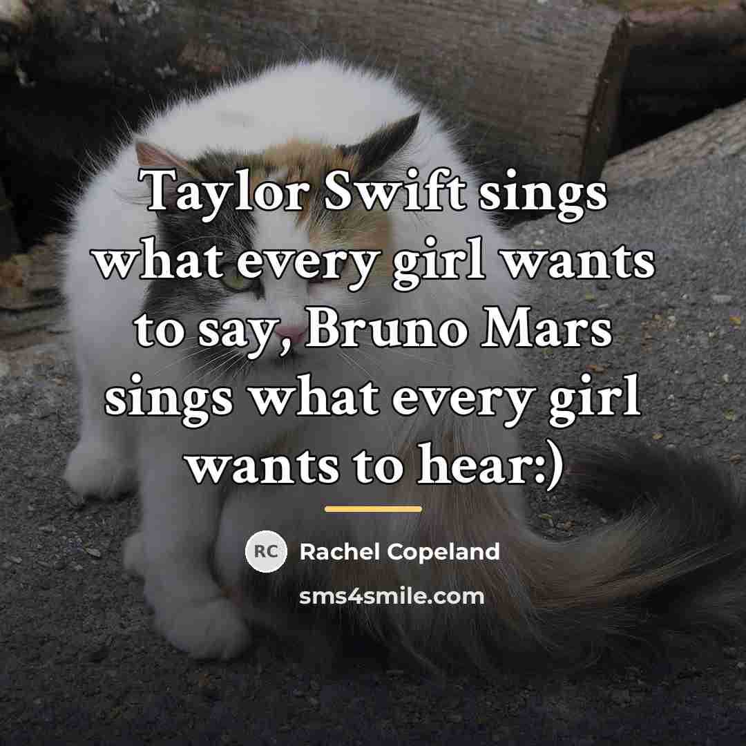 “Taylor Swift sings what every girl wants to say, Bruno…” quote by Rachel Copeland