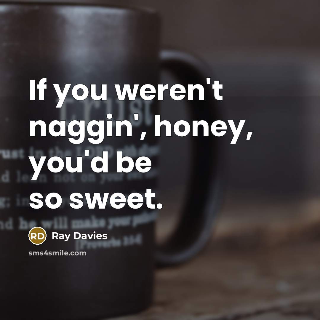 “If you weren't naggin', honey, you'd be so sweet.…” quote by Ray Davies