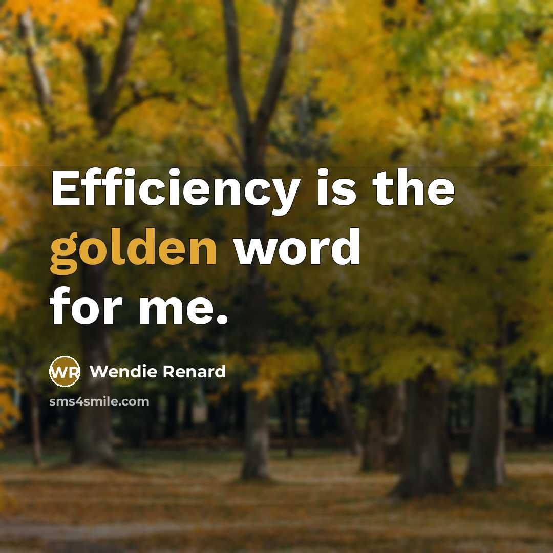 “Efficiency is the golden word for me.…” quote by Wendie Renard