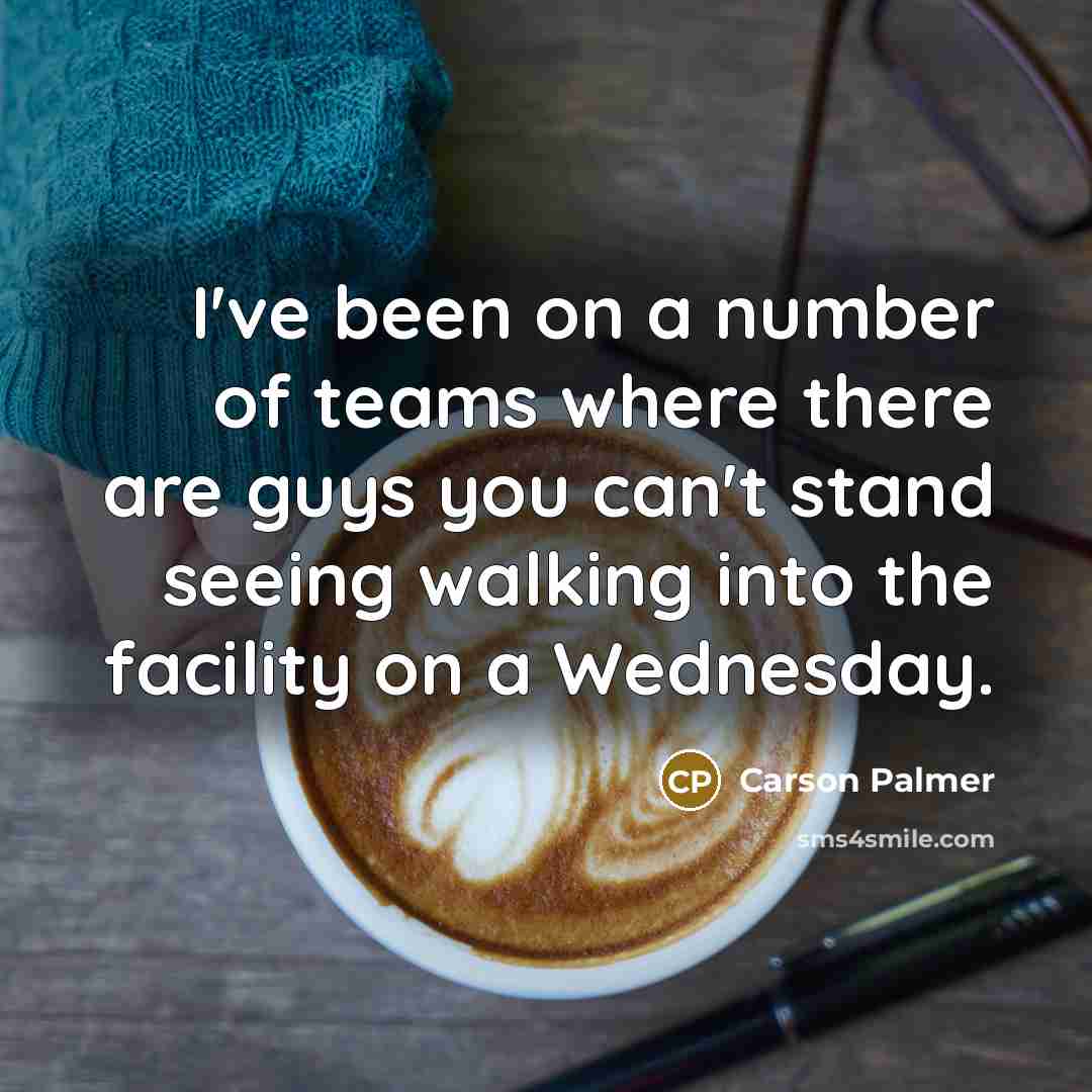 “I've been on a number of teams where there are…” quote by Carson Palmer