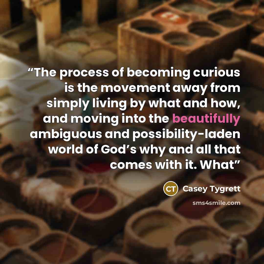 “The process of becoming curious is the movement away from simply living by what and how, and moving into the beautifully ambiguous and possibility-laden world of God’s why and all that comes with it. What” quote by Casey Tygrett