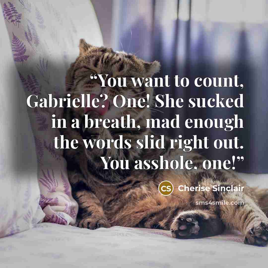 “You want to count, Gabrielle? One! She sucked in a breath, mad enough the words slid right out. You asshole, one!” quote by Cherise Sinclair
