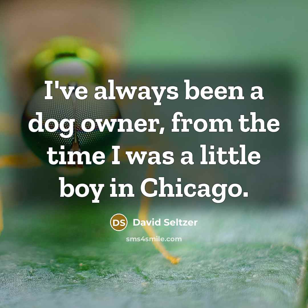 “I've always been a dog owner, from the time I…” quote by David Seltzer
