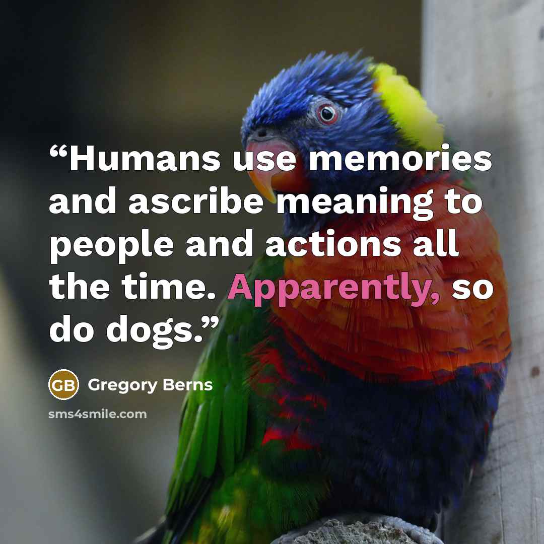 “Humans use memories and ascribe meaning to people and actions all the time. Apparently, so do dogs.” quote by Gregory Berns