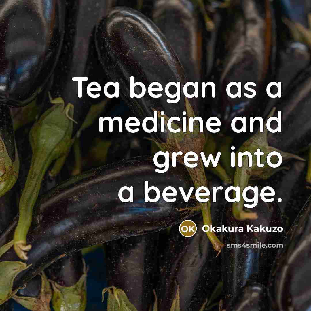 “Tea began as a medicine and grew into a beverage.…” quote by Okakura Kakuzo
