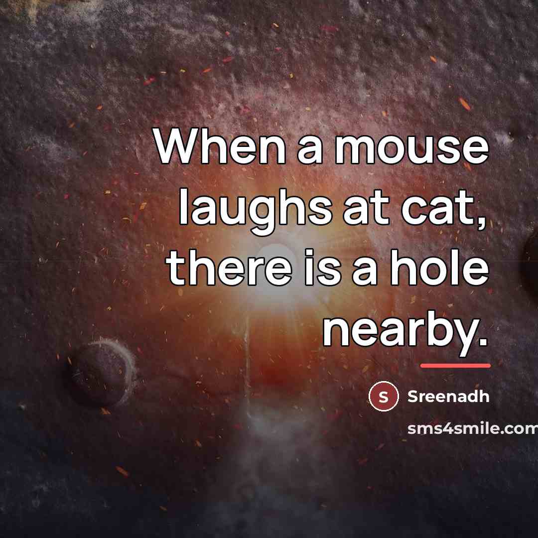 “When a mouse laughs at cat, there is a hole…” quote by Sreenadh