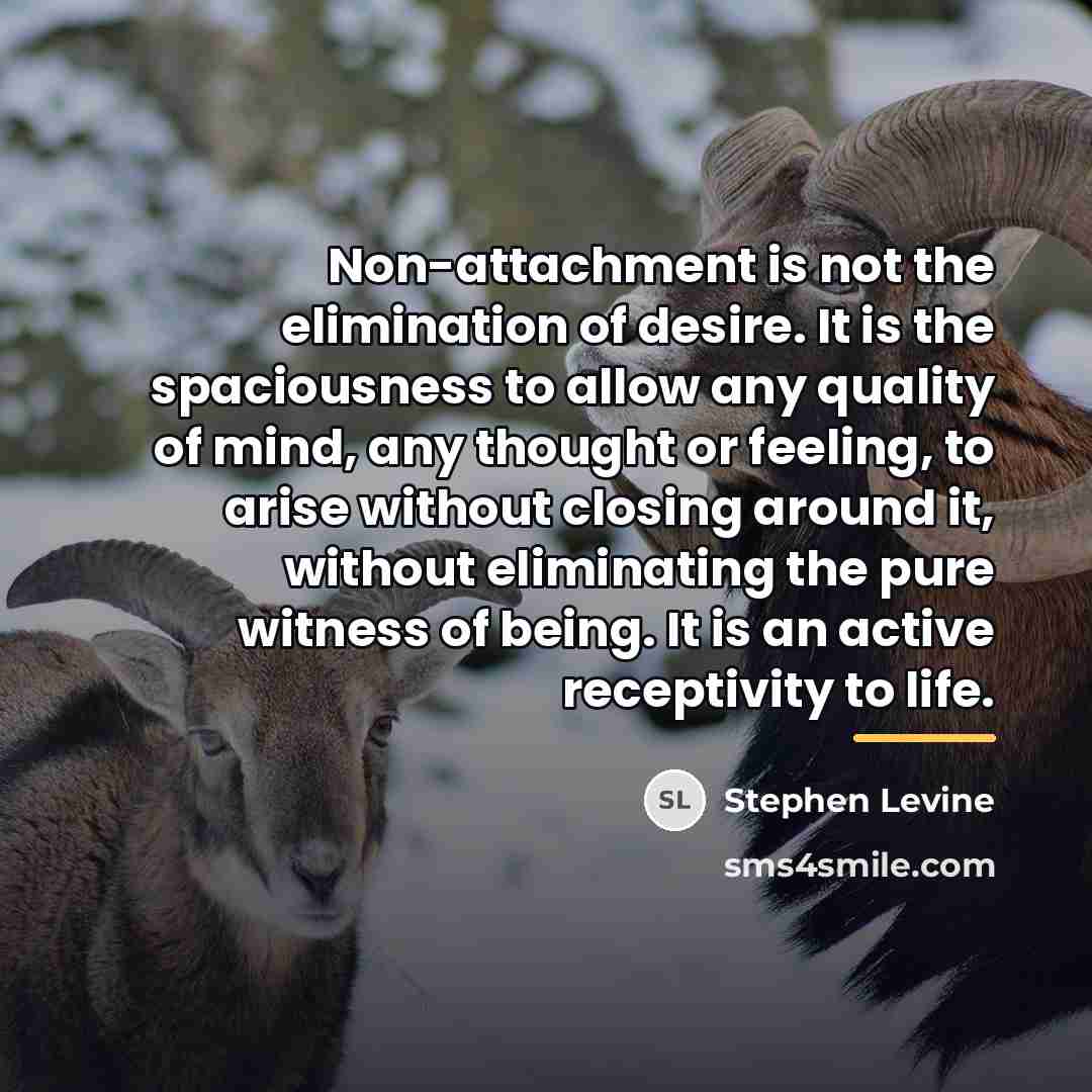 “Non-attachment is not the elimination of desire. It is the…” quote by Stephen Levine