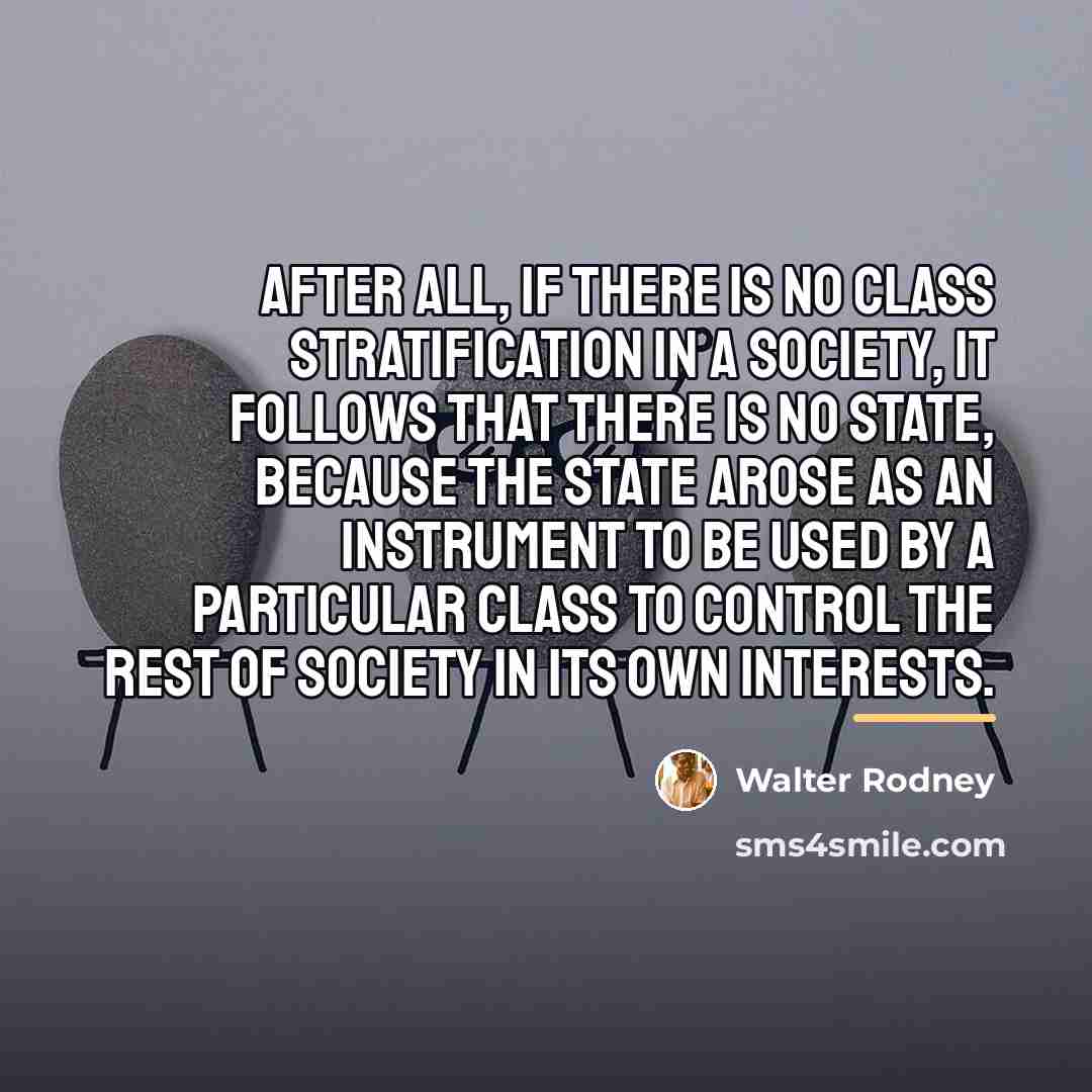 “After all, if there is no class stratification in a…” quote by Walter Rodney