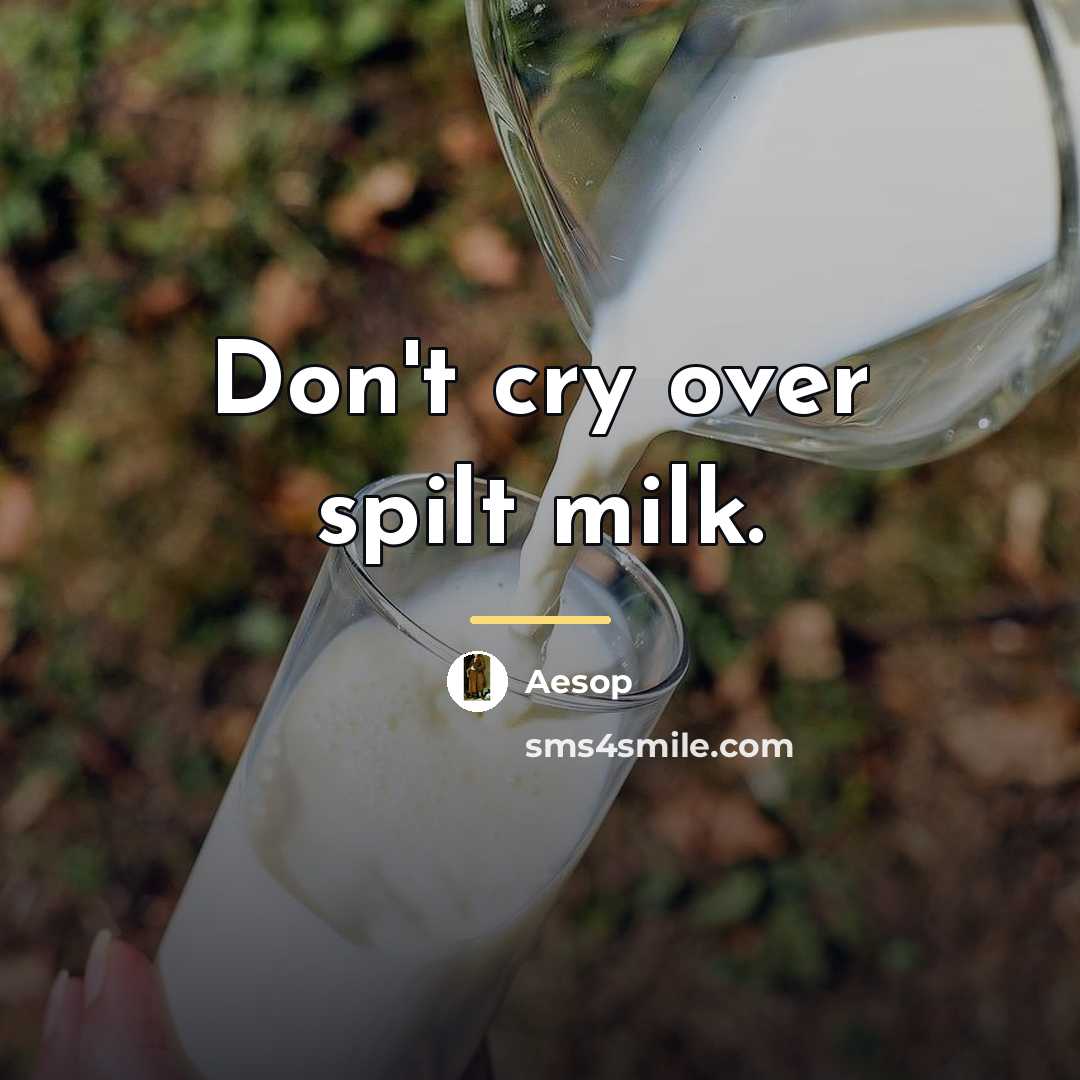 “Don't cry over spilt milk.…” quote by Aesop