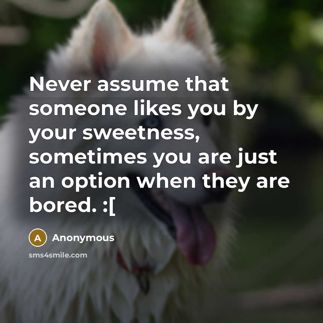 “Never assume that someone likes you by your sweetness, sometimes you are just an option when they are bored. :[” quote by Anonymous