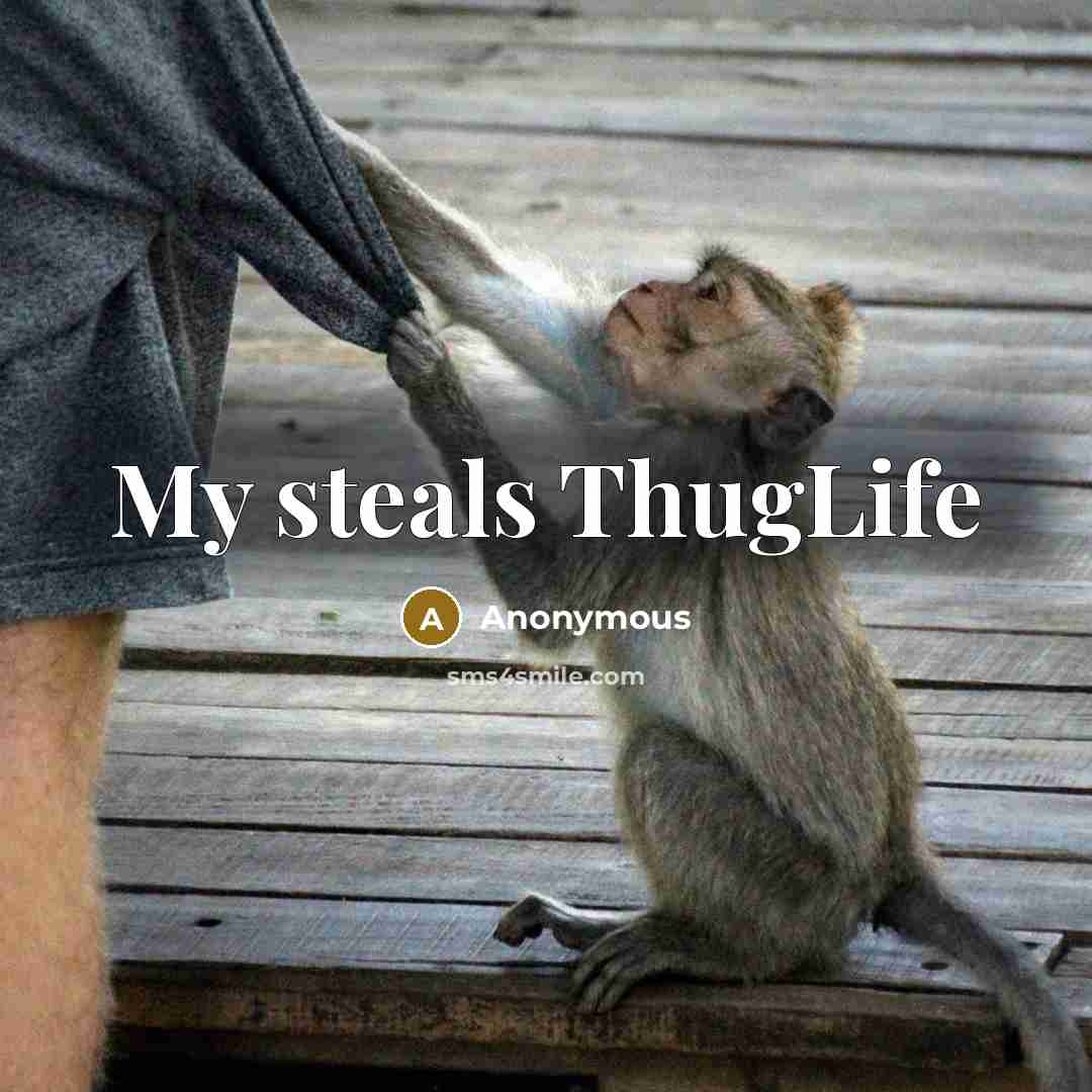 “My steals ThugLife” quote by Anonymous