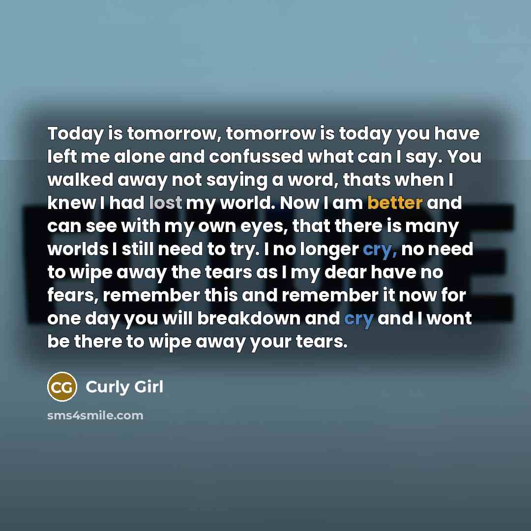 “Today is tomorrow, tomorrow is today you have left me alone and confussed what can I say. You walked away not saying a word, thats when I knew I had lost my world. Now I am better and can see with my own eyes, that there is many worlds I still need to try. I no longer cry, no need to wipe away the…” quote by Curly Girl