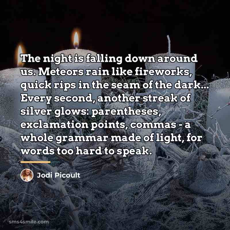 “The night is falling down around us. Meteors rain like…” quote by Jodi Picoult