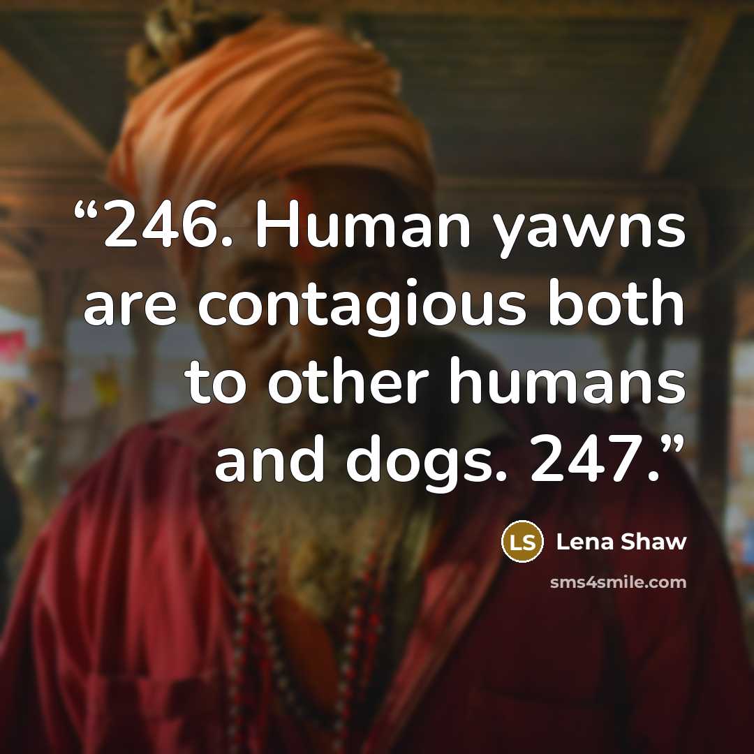 “246. Human yawns are contagious both to other humans and dogs. 247.” quote by Lena Shaw