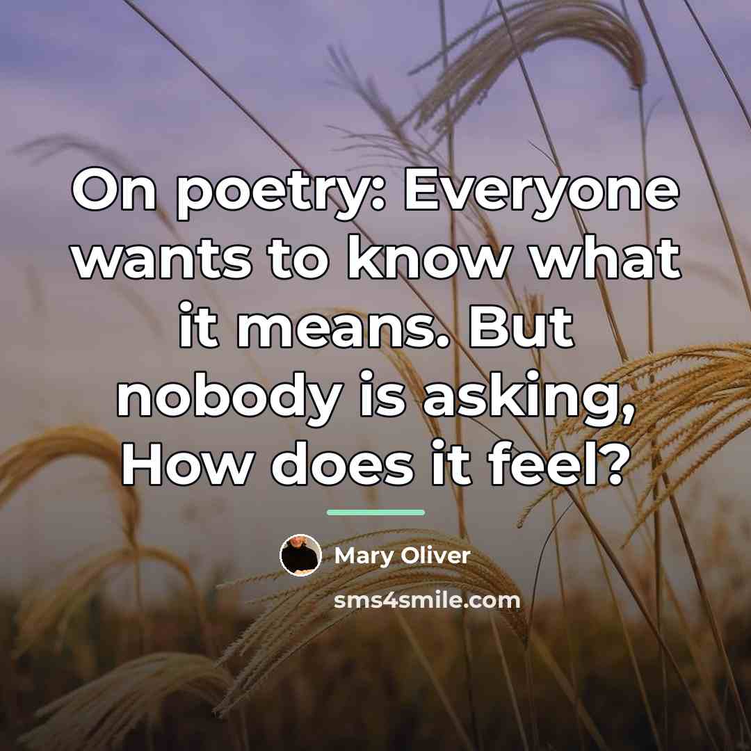 “On poetry: Everyone wants to know what it means. But…” quote by Mary Oliver