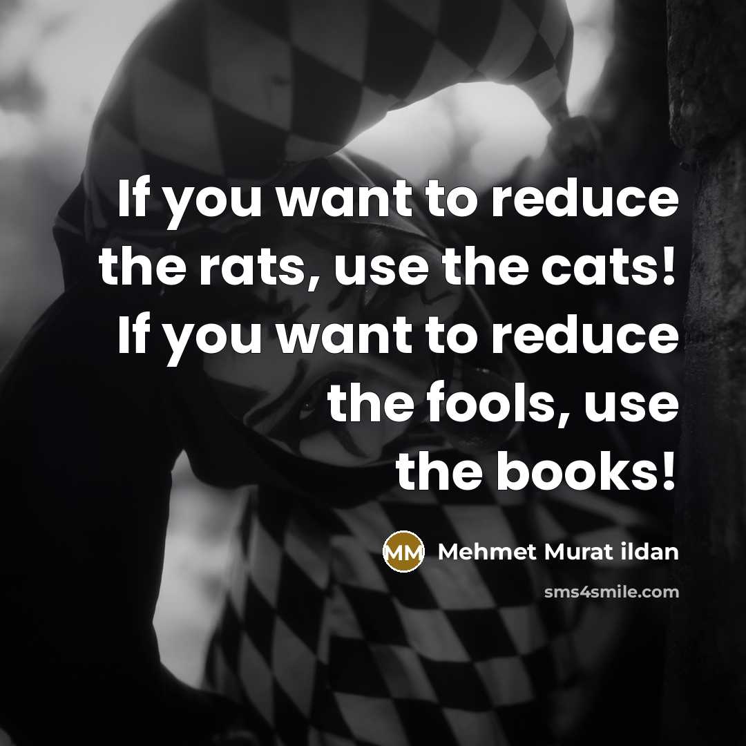 “If you want to reduce the rats, use the cats!…” quote by Mehmet Murat Ildan