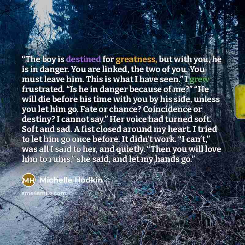 “The boy is destined for greatness, but with you, he is in danger. You are linked, the two of you. You must leave him. This is what I have seen.” I grew frustrated. “Is he in danger because of me?” “He will die before his time with you by his side, unless you let him go. Fate or chance? Coincidence…” quote by Michelle Hodkin