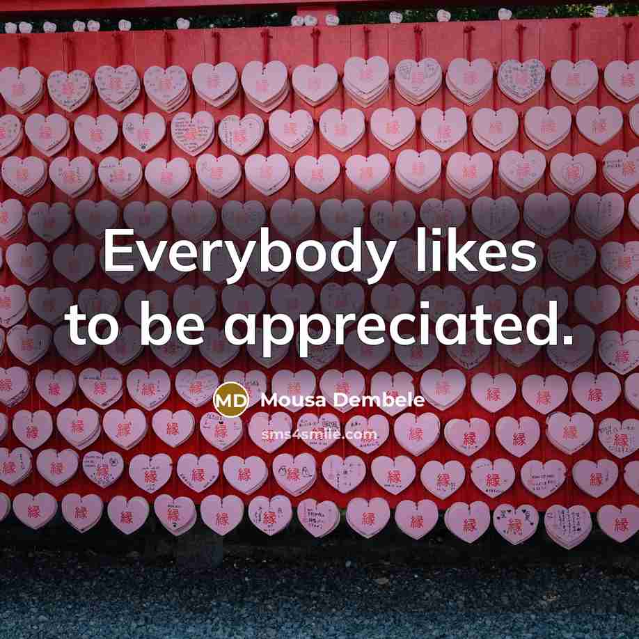 “Everybody likes to be appreciated.…” quote by Mousa Dembele