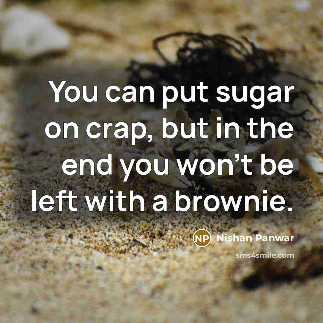 “You can put sugar on crap, but in the end you won't be left with a brownie.” quote by Nishan Panwar