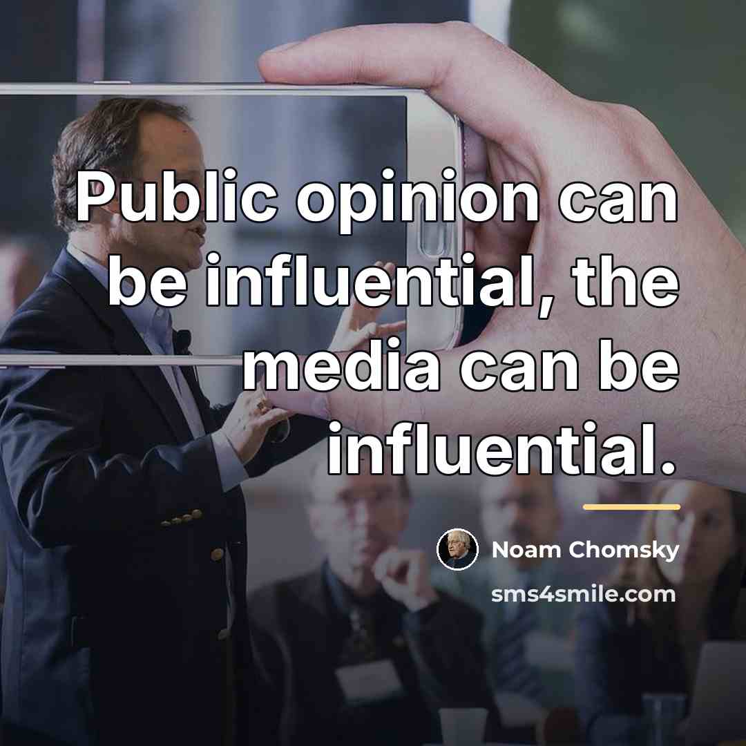 “Public opinion can be influential, the media can be influential.…” quote by Noam Chomsky