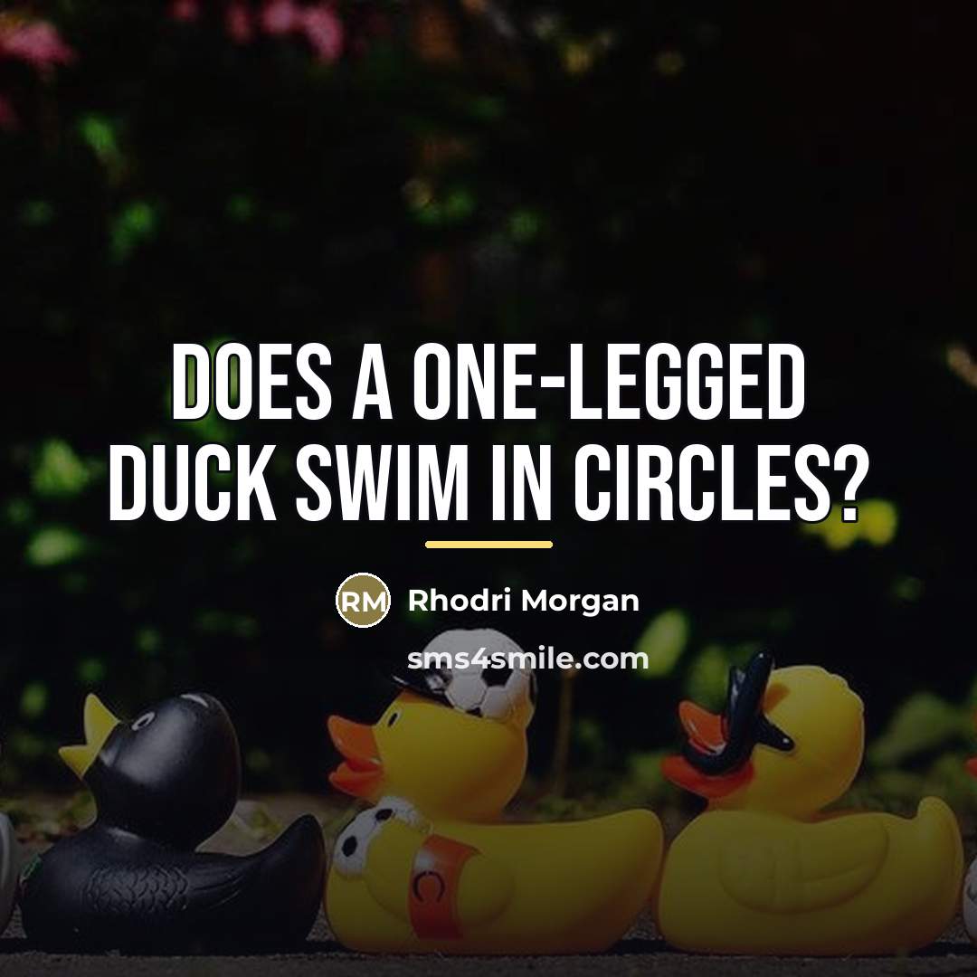 “Does a one-legged duck swim in circles?…” quote by Rhodri Morgan
