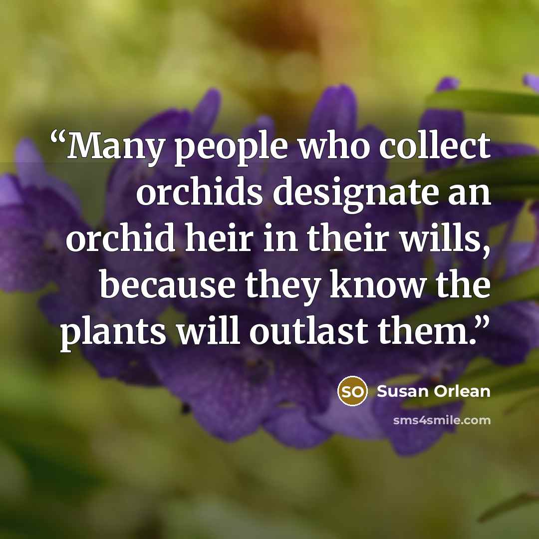 “Many people who collect orchids designate an orchid heir in their wills, because they know the plants will outlast them.” quote by Susan Orlean