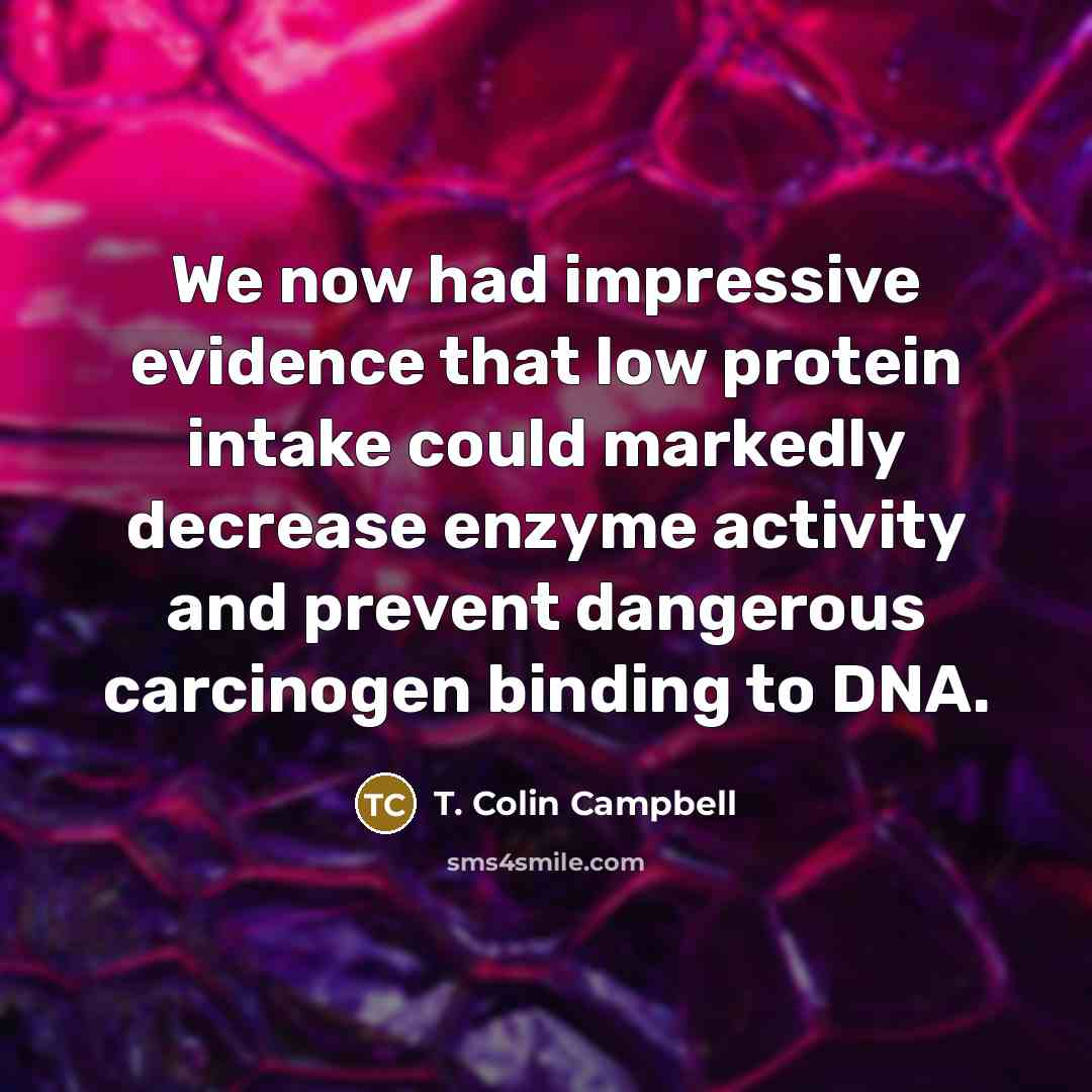 “We now had impressive evidence that low protein intake could…” quote by T. Colin Campbell