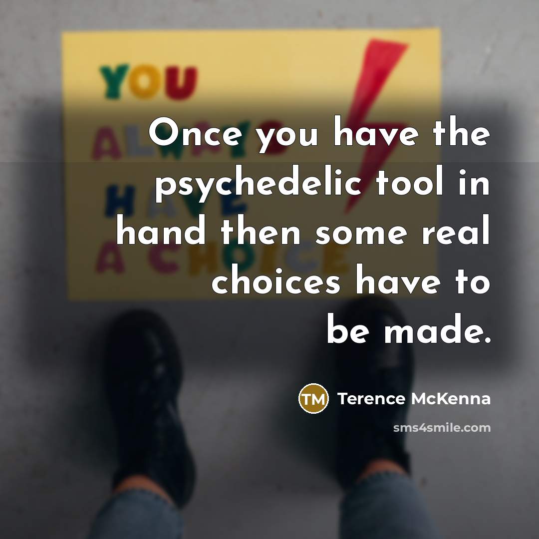 “Once you have the psychedelic tool in hand then some…” quote by Terence McKenna