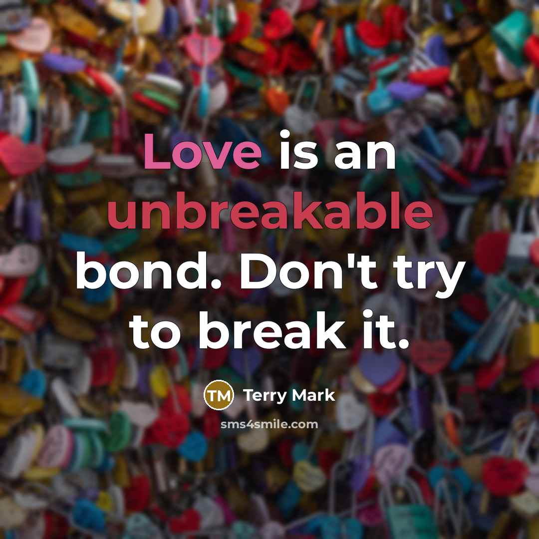 “Love is an unbreakable bond. Don't try to break it.…” quote by Terry Mark