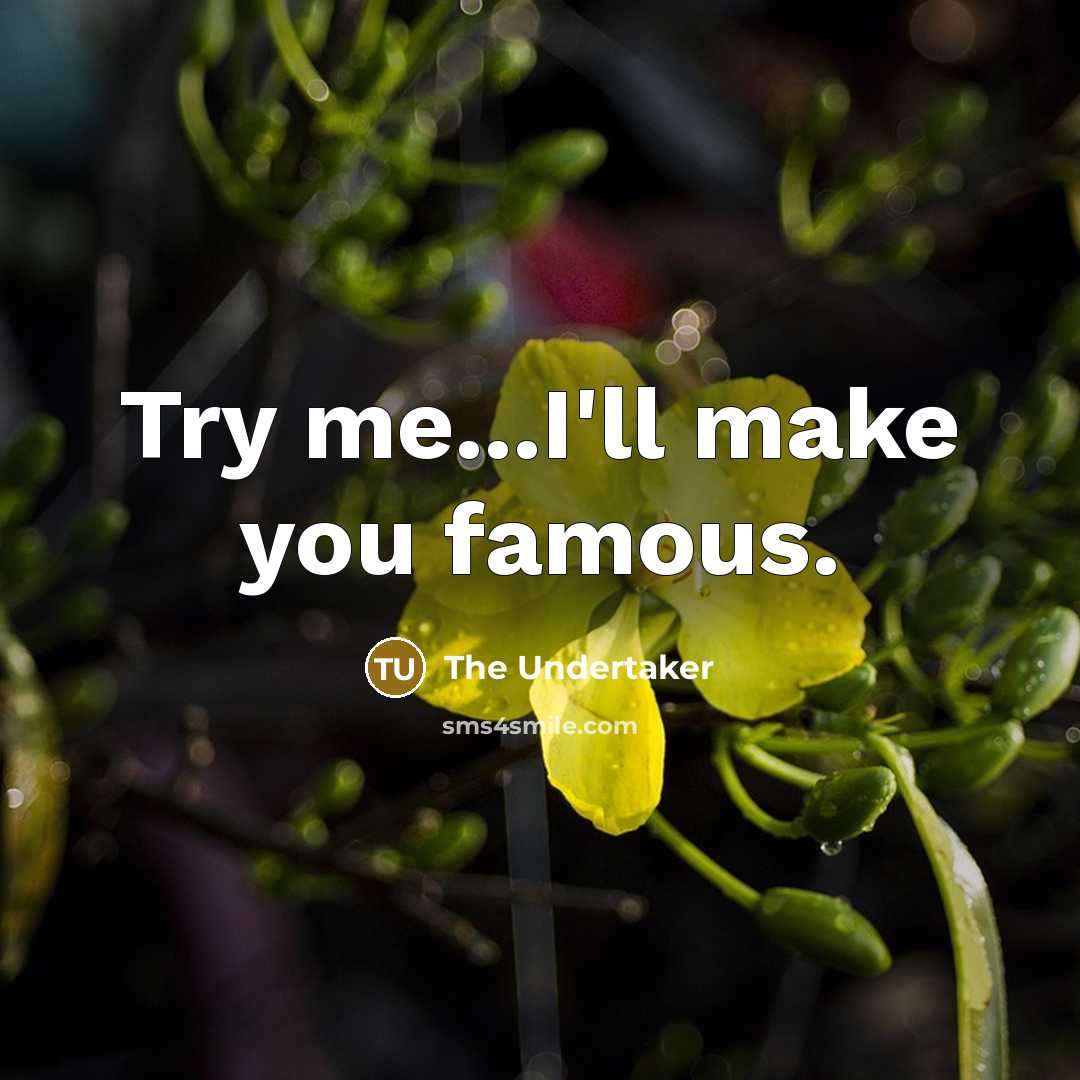 “Try me...I'll make you famous.…” quote by The Undertaker