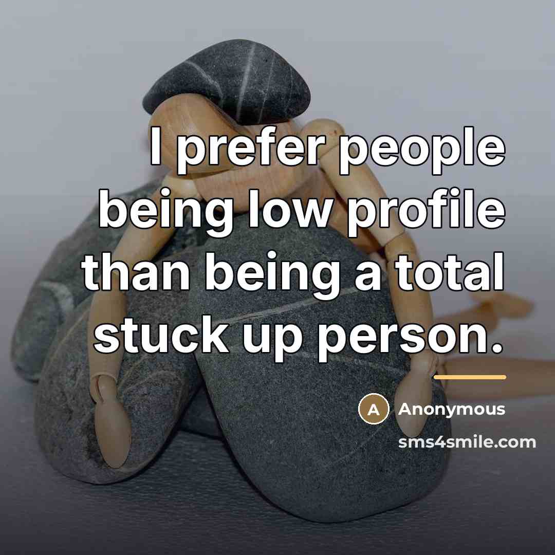 “I prefer people being low profile than being a total…” quote by Anonymous