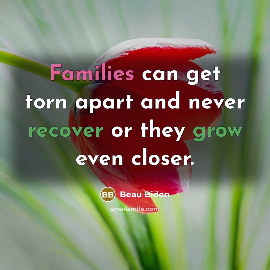 “Families can get torn apart and never recover or they grow even closer.” quote by Beau Biden